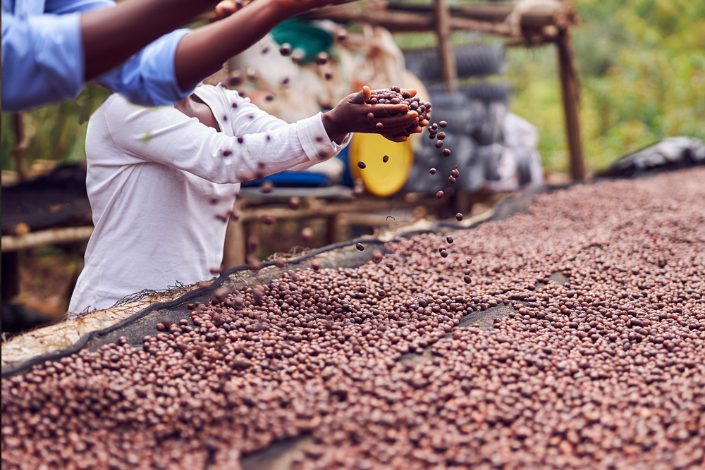 Was das Fairtrade Gütesiegel bedeutet